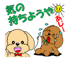 Move! Toy Poodle "Manzai style" sticker #12087179