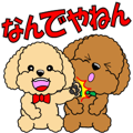 Move! Toy Poodle "Manzai style"