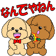 Move! Toy Poodle "Manzai style"