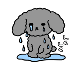 black poodle! sticker #12089013
