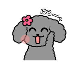 black poodle! sticker #12089035