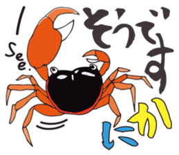 Pop animal sticker. sticker #12089649