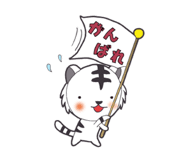 Lifestyle of the white tiger sticker #12092806