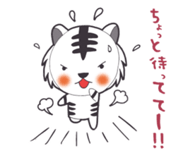 Lifestyle of the white tiger sticker #12092809