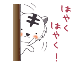 Lifestyle of the white tiger sticker #12092813