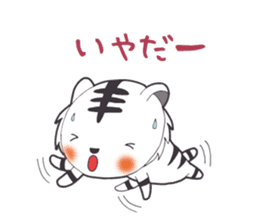 Lifestyle of the white tiger sticker #12092822
