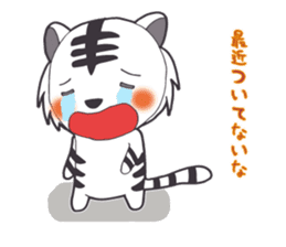 Lifestyle of the white tiger sticker #12092825