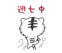 Lifestyle of the white tiger sticker #12092828