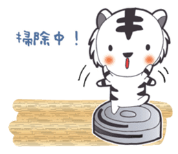 Lifestyle of the white tiger sticker #12092837