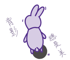 P rabbit not daily sticker #12094162