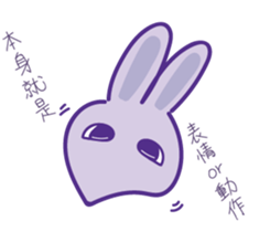 P rabbit not daily sticker #12094164