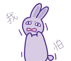P rabbit not daily sticker #12094179