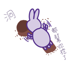 P rabbit not daily sticker #12094187