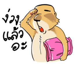 Erie prairie dog sticker #12094765