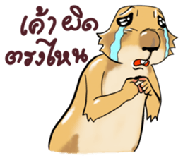 Erie prairie dog sticker #12094766