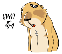 Erie prairie dog sticker #12094772