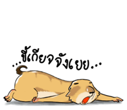 Erie prairie dog sticker #12094781