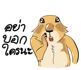 Erie prairie dog sticker #12094787