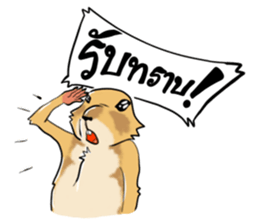 Erie prairie dog sticker #12094793