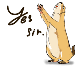 Erie prairie dog sticker #12094796