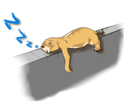 Erie prairie dog sticker #12094797