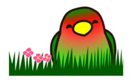 Lovebird [Ver4](move) sticker #12095465