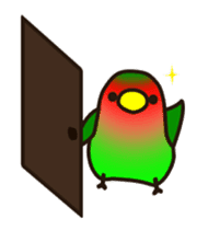 Lovebird [Ver4](move) sticker #12095471