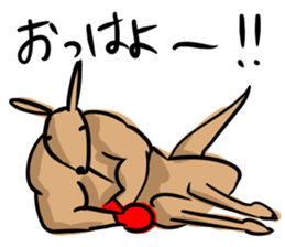Macho kangaroo sticker #12096326