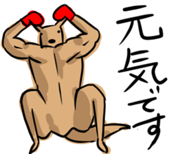 Macho kangaroo sticker #12096333