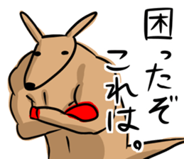 Macho kangaroo sticker #12096343