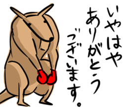 Macho kangaroo sticker #12096347