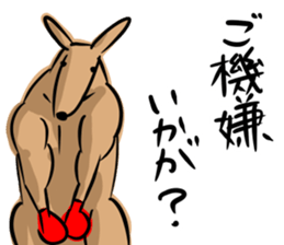 Macho kangaroo sticker #12096350