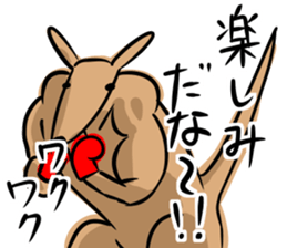 Macho kangaroo sticker #12096356