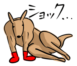 Macho kangaroo sticker #12096364