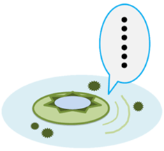 Go! go! "Kappachan" sticker #12100835