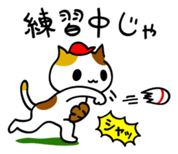 Hiroshima-ben season4 sticker #12102902