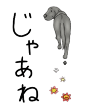 LOVE LABRADOR RETRIEVER sticker #12102977