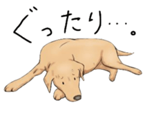 LOVE LABRADOR RETRIEVER sticker #12102990