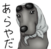 LOVE LABRADOR RETRIEVER sticker #12102991