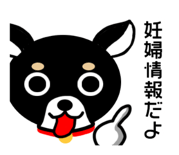 Chihuahua pregnant woman sticker #12105489