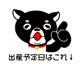 Chihuahua pregnant woman sticker #12105490