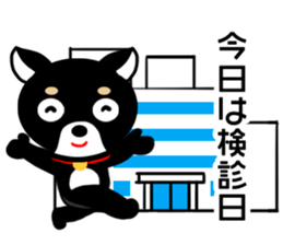 Chihuahua pregnant woman sticker #12105491