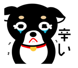 Chihuahua pregnant woman sticker #12105492