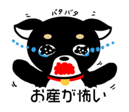 Chihuahua pregnant woman sticker #12105507