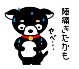 Chihuahua pregnant woman sticker #12105522