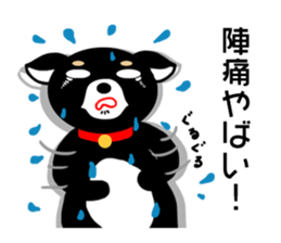 Chihuahua pregnant woman sticker #12105523