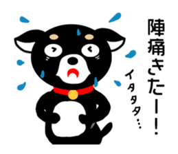 Chihuahua pregnant woman sticker #12105524