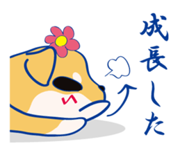 SHIBANGESE HANA 2 sticker #12108686