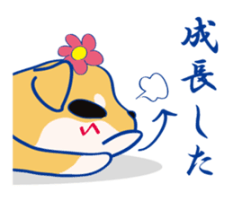 SHIBANGESE HANA 2 sticker #12108686