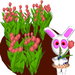 It is playful rabbit move stickers.